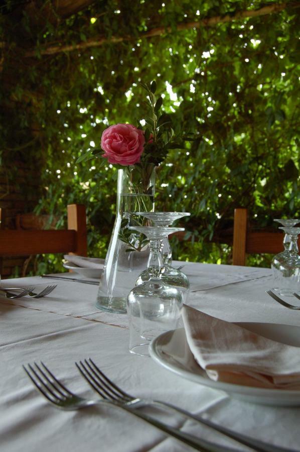 Ischia di Castro Agriturismo Castroヴィラ エクステリア 写真